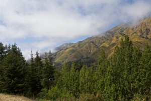 Ein Blick auf die Berge in den Wäldern um den Big Sur