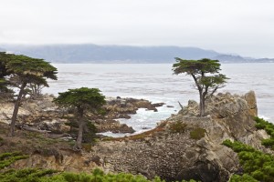 Entlang dem 17 Mile Drive